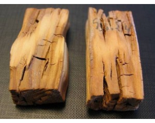 Как защитить древесину