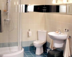 Совмещение санузла: за и против