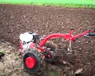 Организация порядка в огороде