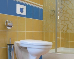 Выбираем унитаз