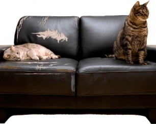 Перетяжка мягкой мебели: основные преимущества услуги