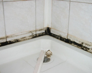 Как убрать грибок в ванной (Часть 1)