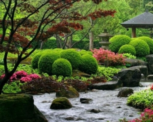 Этапы ландшафтного проектирования