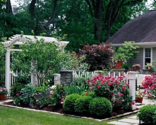 Живые изгороди в озеленении