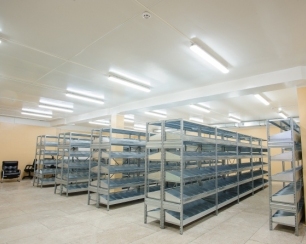 Промышленные светильники – эффективное решение проблемы освещения