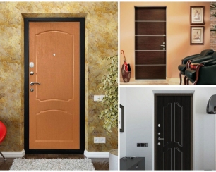 Выбираем двери для своего жилища