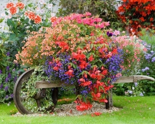 Спецэффекты от цветов в ландшафтном дизайне