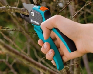 Как правильно выбирать секаторы