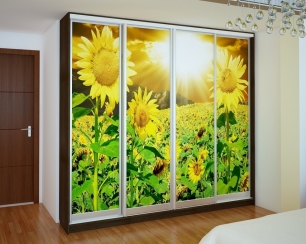 Встроенный шкаф-купе от Flash Nika