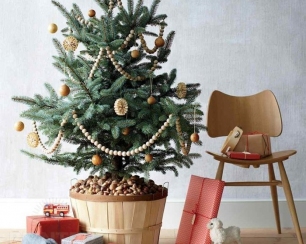 Преимущества покупки живой елки на новый год