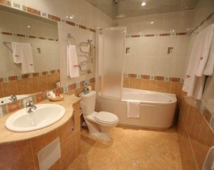 Некоторые нюансы ремонта санузла