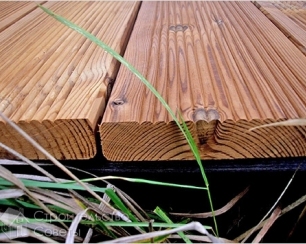 Как защитить древесину от разрушения