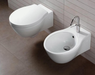 Почему стоит покупать унитазы биде