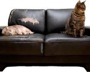 Доступные цены на перетяжку мебели!