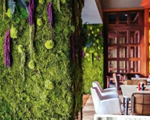 Как воспитать в ребенке любовь к природе?