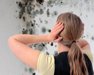 Методы избавления от плесени