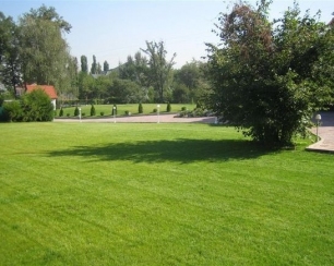 Основные принципы озеленения территории