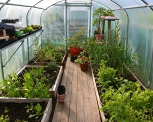 Теплица из сотового поликарбоната