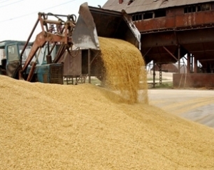 Сушки для зерна: типы, виды и особенности