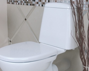 Все о чашах унитазов и правилах ухода за ними