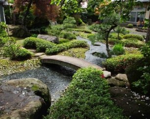 Сады на загородном участке