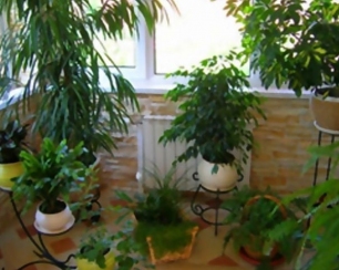 Как утеплить изнутри стены лоджии