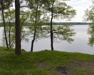 Земельные участки на берегу озера Пионерское