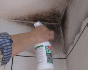 Как убрать грибок в ванной (Часть 2)