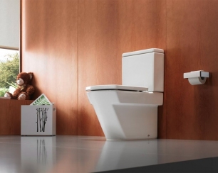 Основные разновидности напольных унитазов