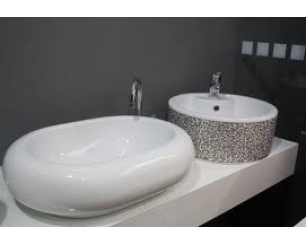 Современные раковины: особенности видов