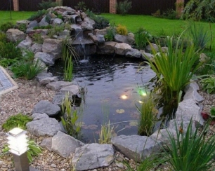 Дизайн декоративного болота